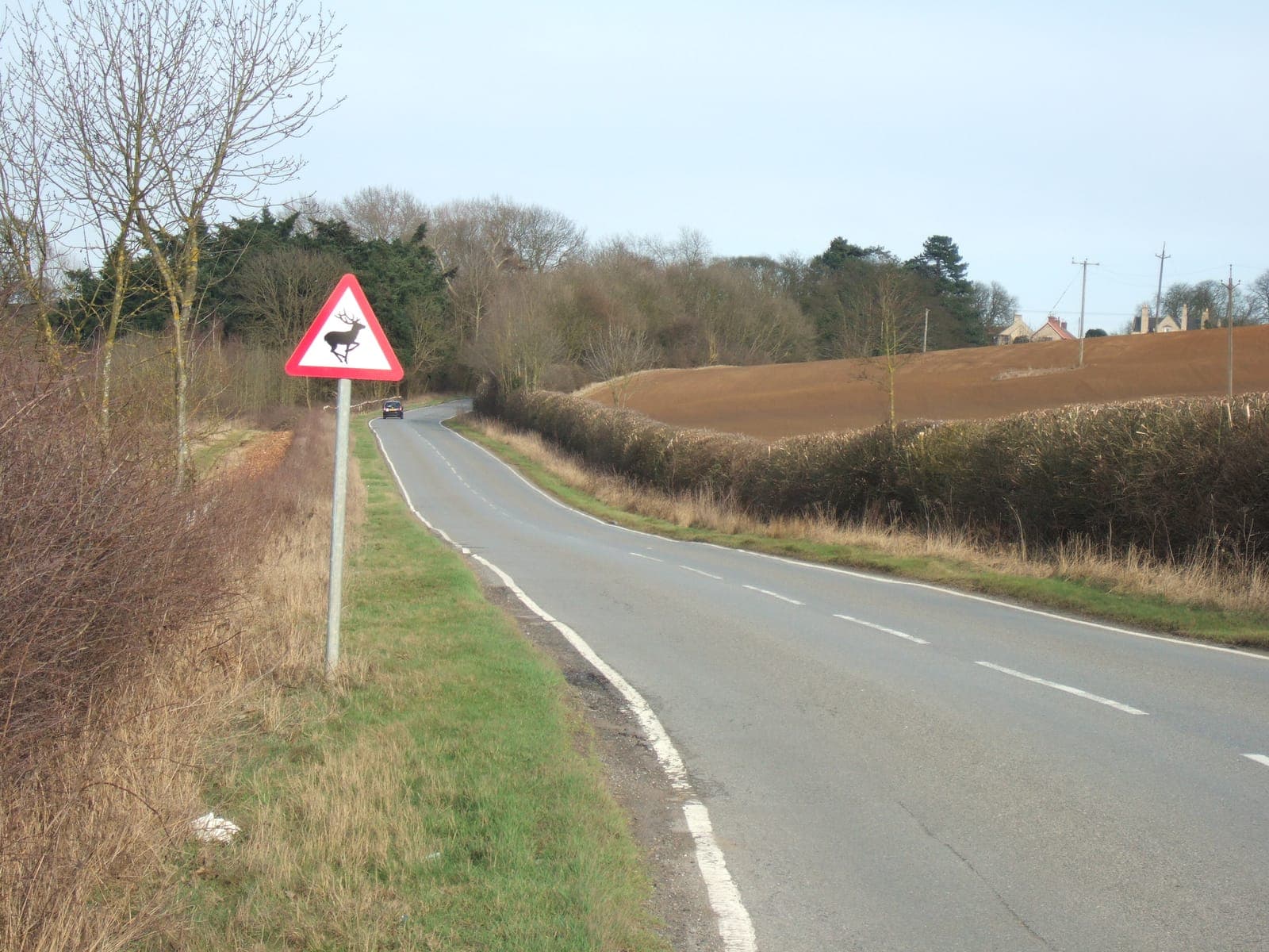 A red triangular deer warning sign beside a winding country road between hedges and ploughed fields in Lincolnshire