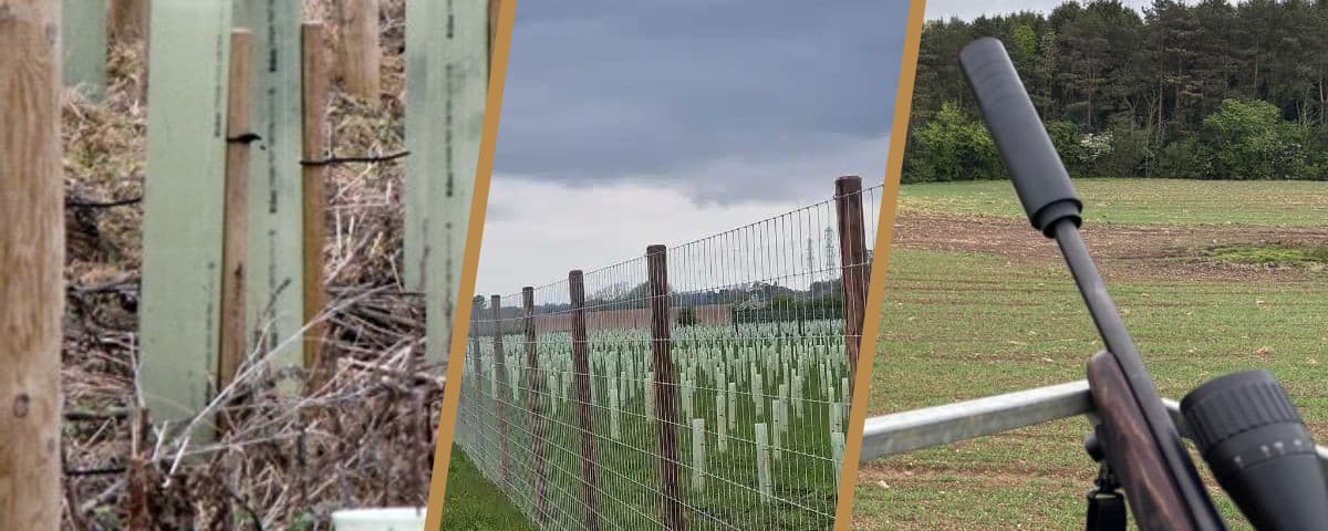 Three side-by-side photos showing tree guards on young saplings, a wire deer fence along new woodland planting, and a suppressed rifle overlooking a field margin