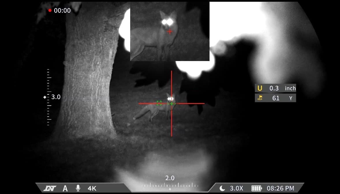 Night vision view of a fox standing under trees at night, with the scope's crosshair and range readout