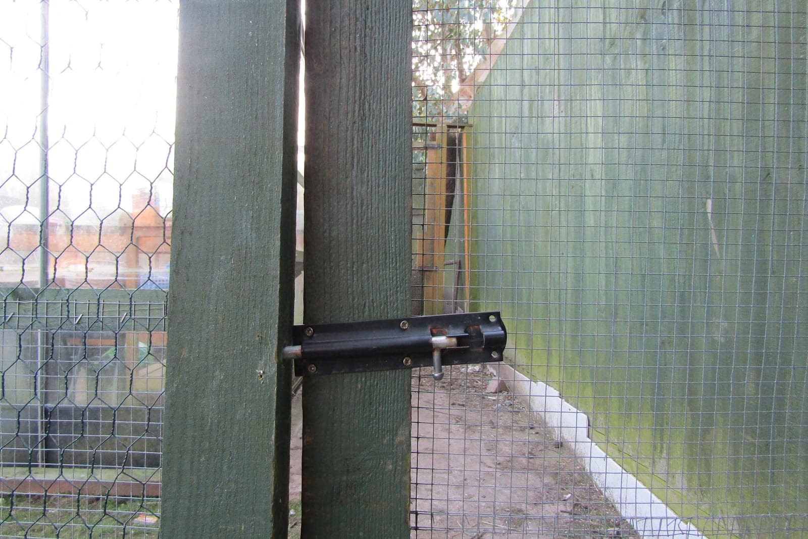 A steel bolt fastening the wooden door of a wire-mesh hen run